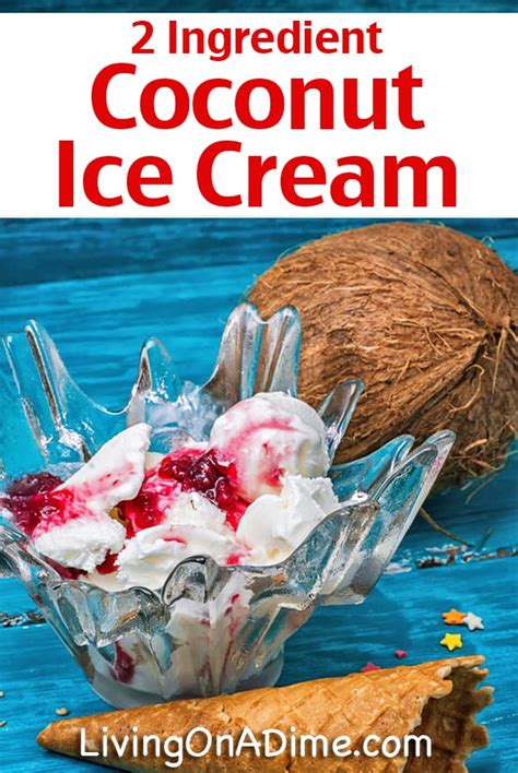 12 Easy 2 Ingredient Ice Cream Recipes You Will Love!