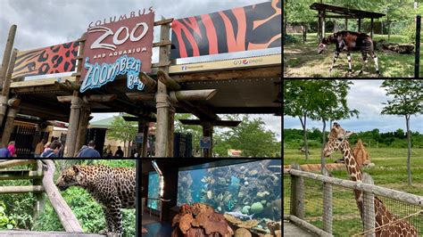 The Columbus Zoo: Ohio’s Largest and Arguably Best Zoo