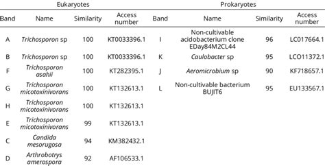 Nucleotide identity using Blast database (NCBI) of sequences retrieved... | Download Scientific ...