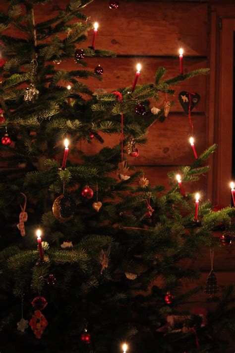 Pagan Christmas Traditions and How They Are Still Enjoyed Today