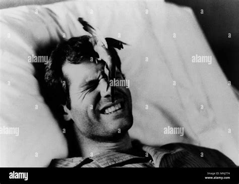 Jason Beghe High Resolution Stock Photography and Images - Alamy