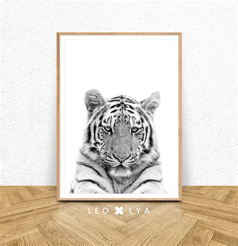 Animal Print Black White Tiger Photography Nursery Animal - Etsy