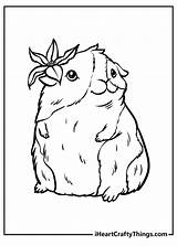 15 Guinea Pig Coloring Pages 100% Free Printables sketch template