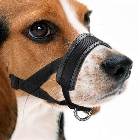 Dog Muzzle Soft Muzzles for Dog Prevent Biting Chewing Barking Black | eBay