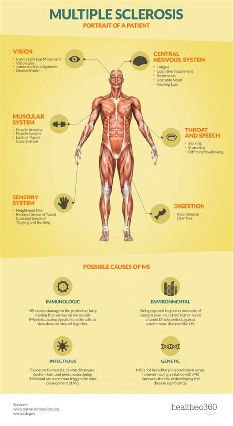 [Infographic] How MS Affects Your Body - NewLifeOutlook