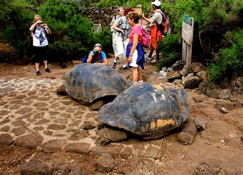 Galapagos National Park: A UNESCO World Heritage Site ⋆ Galapagos Islands - Travel Guide