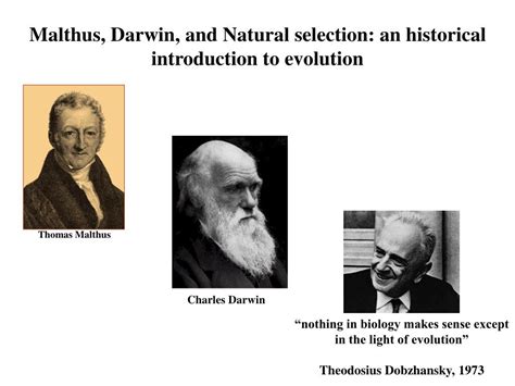 PPT - Malthus, Darwin, and Natural selection: an historical ...