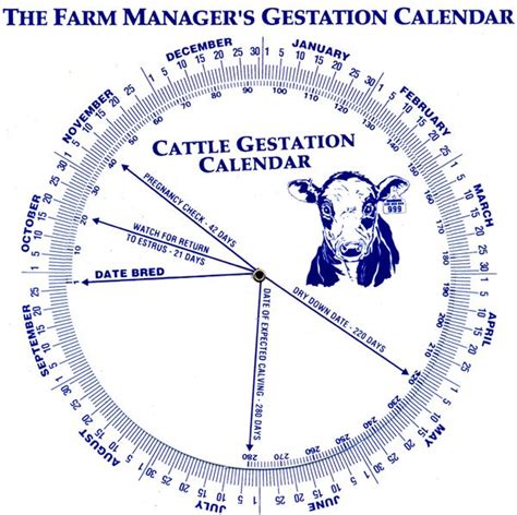 Cow Gestation Calendar