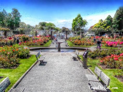 Wellington Botanic Gardens. Wellington, New Zealand - Travel To Eat | New zealand travel ...
