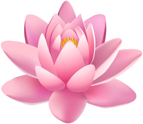 Lotus flower PNG