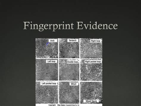 Fingerprint Evidence