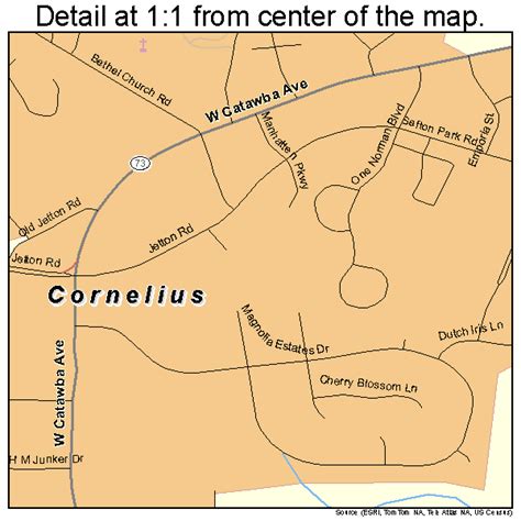 Cornelius North Carolina Street Map 3714700