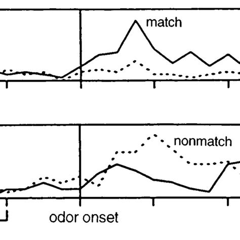 Responses of Entorhinal Cortex Cells During the Test | Download Scientific Diagram