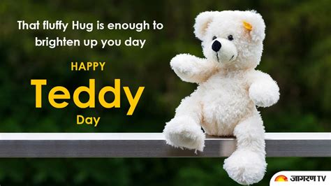 Happy Teddy Day Images: Send these Wishes, Quotes, Messages, Shayari, WhatsApp & Facebook Images ...