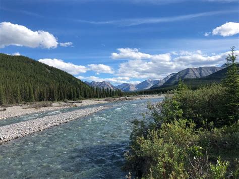 Elbow River Fishing - Alberta Fishing Report