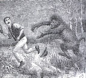 The Yowie – Monstrous.com