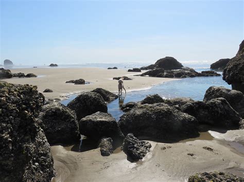 Cannon Beach, exploring sea stacks & tidal pools | Cannon Be… | Mary Witer | Flickr