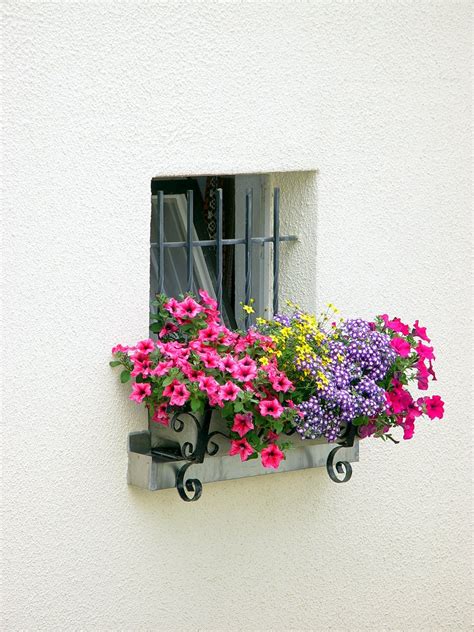 Window Drawing With Flowers