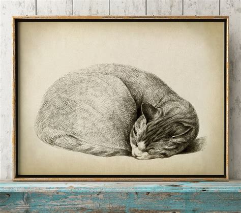 Cat Art Print Relaxing Sleeping Cat Pencil Drawing of a Cat - Etsy