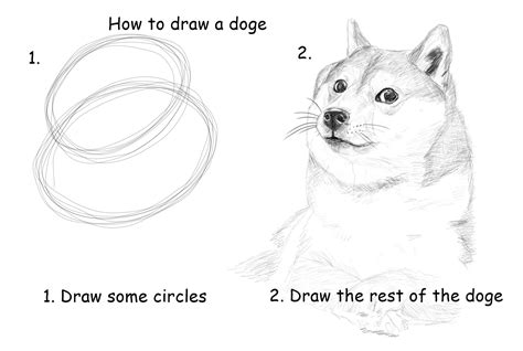 How to draw a doge : dogecoin