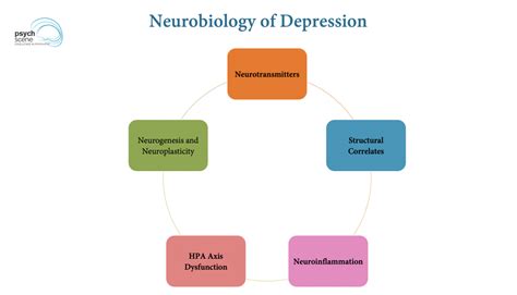 Neurobiology of Depression - A Simplified Guide