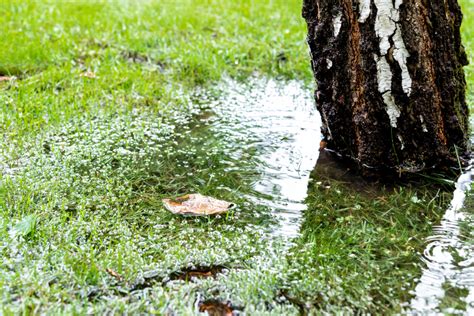 What Is A Dry Well? A DIY Drainage System