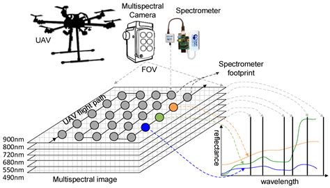 Remote Sensing | Free Full-Text | Fusion of Multispectral Imagery and Spectrometer Data in UAV ...