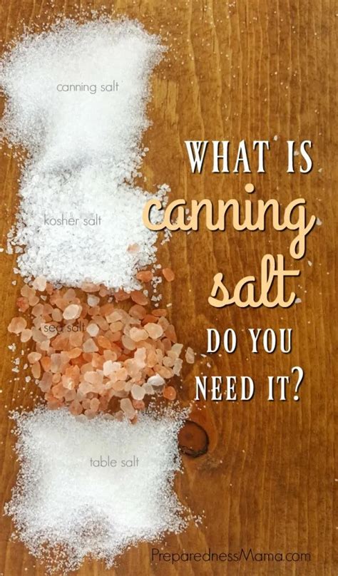 What is Canning Salt and Do You Need It? - PreparednessMama