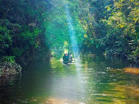 Amazing facts about the Amazon River we bet you didn’t know! | Times of India Travel