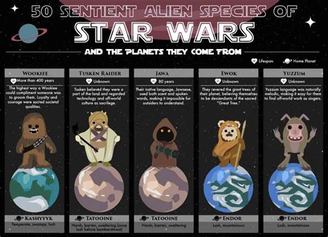 50 Sentient Alien Species of Star Wars [Infographic] | Star wars ...