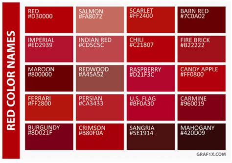 Kutek Warna Merah Maroon - Homecare24