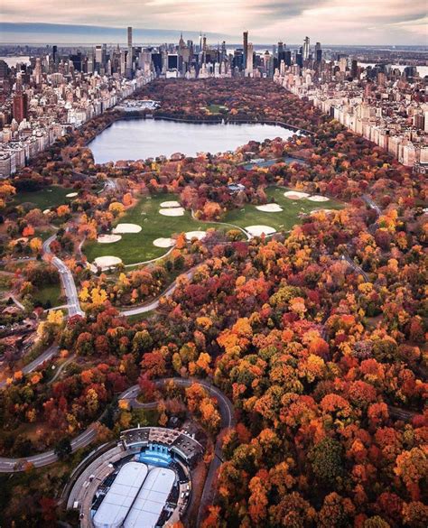 Fall in Central Park New York #city #cities #buildings #photography ...