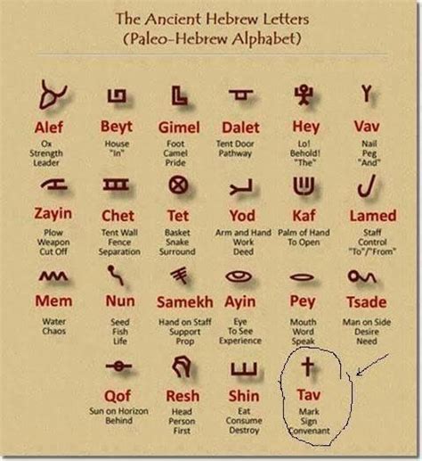 Pin by Lissette Rocha on Hebrew | Hebrew alphabet, Paleo hebrew alphabet, Ancient hebrew