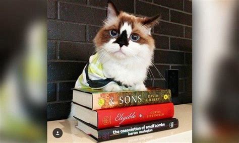 Adorable Animals Reading Books | Book of the Month