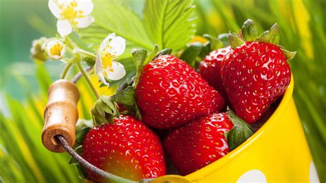 Download wallpaper 1920x1080 strawberries, basket, fresh fruits, full ...