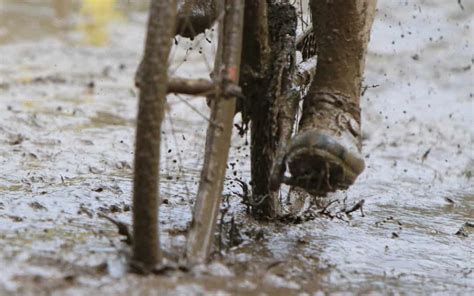 Best Mountain Bike Mudguards (That Keep You Clean) | DIY Mountain Bike