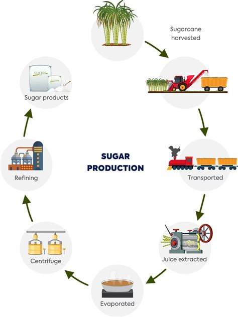 Sugar high powering homes - AustralianFarmers