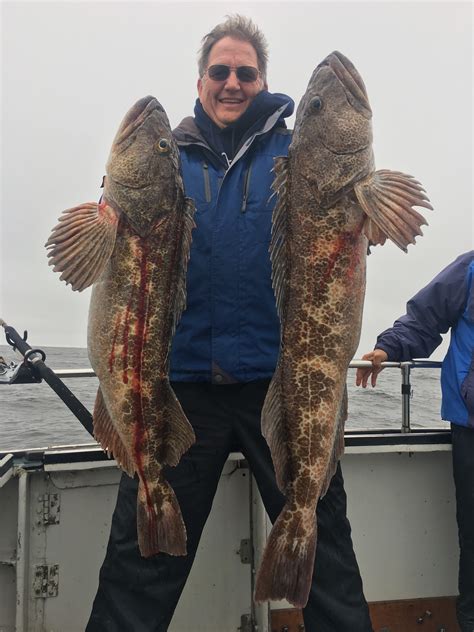 Pacific Halibut, Rockfish Among The Options On Lost Coast Deep Sea Trips – California Sportsman Mag