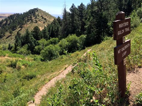 Cedar Gulch Hiking Trail | Mt. Galbraith Trail Loop