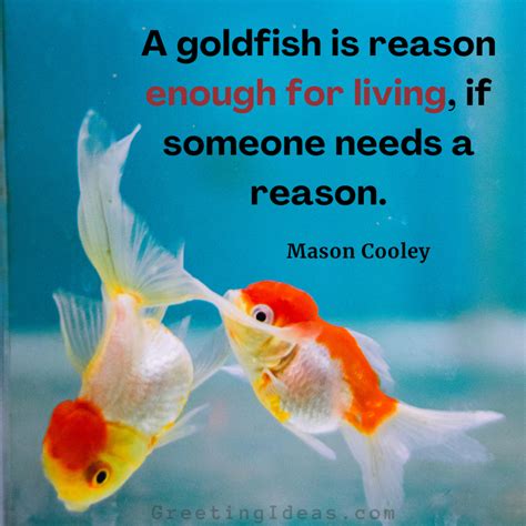 30 Funny Goldfish Quotes Sayings On Personal Growth