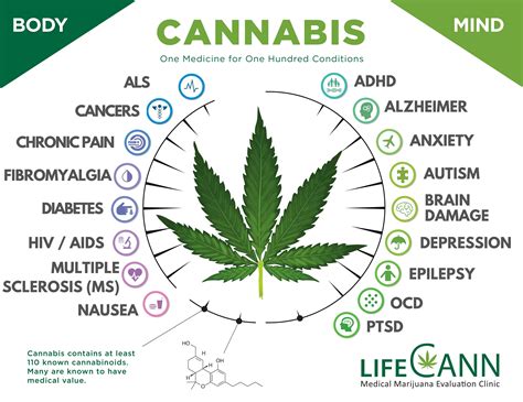 #1 Miami Medical Marijuana Doctors, Cards, Clinics - LifeCannMD