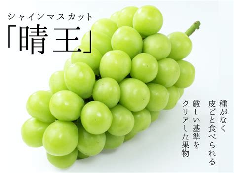 Japanese Shine Muscat Grape — MomoBud