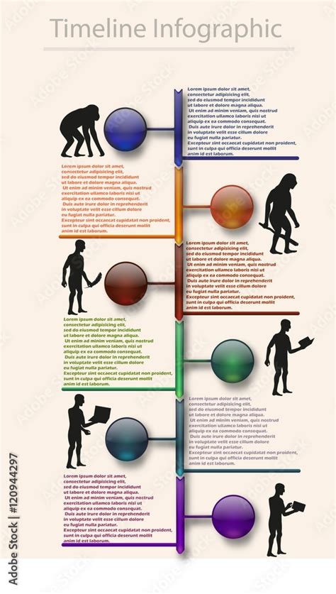 Human Evolutionary Timeline