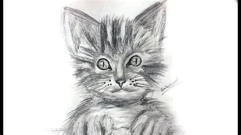 Cat Drawing- How to Draw | Painting, Pencil Drowning, art and Craft. G Art - YouTube