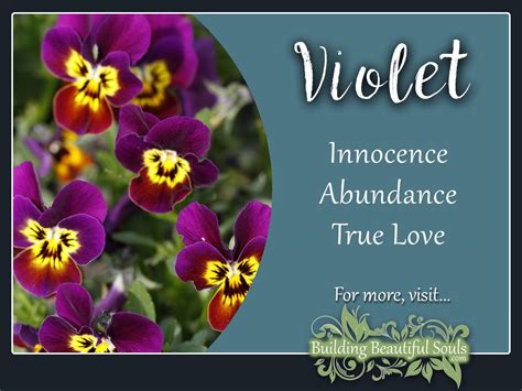 Violet Meaning & Symbolism | Flower Meanings& Symbolism