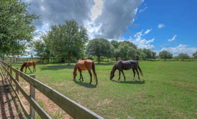 O'Connor Family Ranch Archives - Texas Hill Country