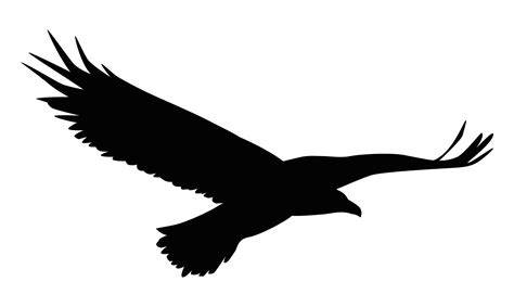 eagle flying silhouette 5407688 Vector Art at Vecteezy