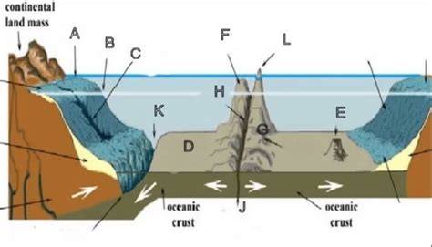 Ocean Exploration Technologies & Seafloor Features Diagram | Quizlet