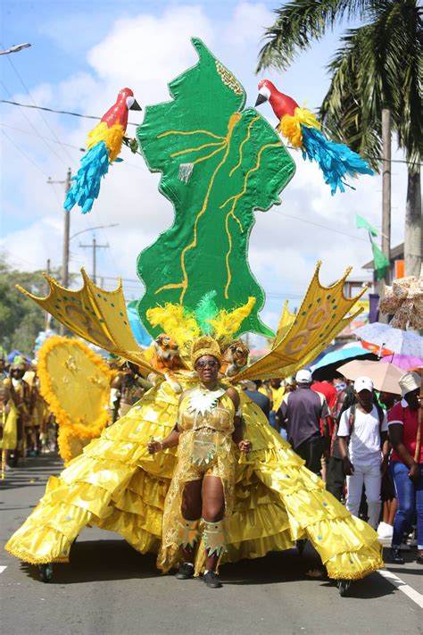 Mashramani Guyana 🇬🇾 | Caribbean culture, India culture, Caribbean