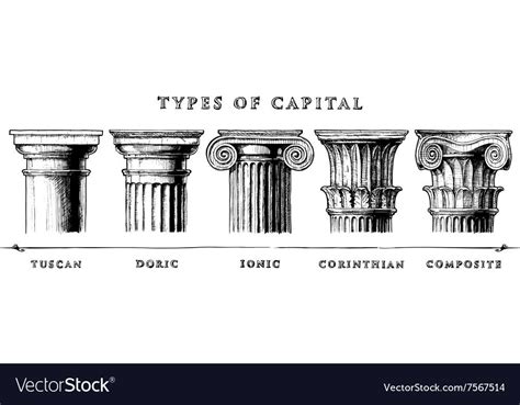 hand drawn set of the five architectural orders engraved Showing the ...